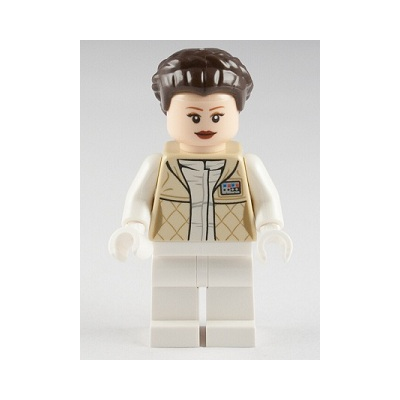 Princess Leia (Hoth Outfit, French Braid Hair)