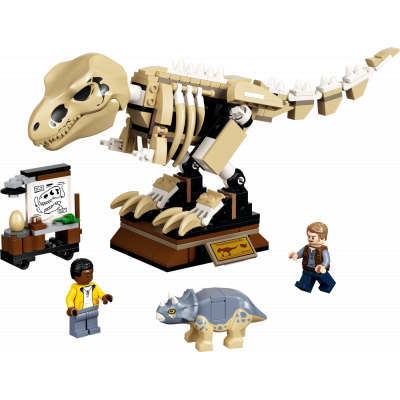 76940 T. Rex-Skelett in der Fossilienausstellung