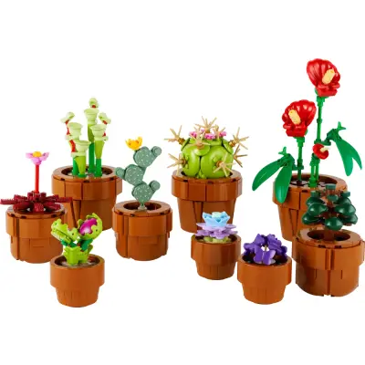 Produktbild Mini Pflanzen