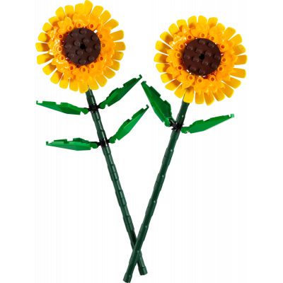 Produktbild Sonnenblumen