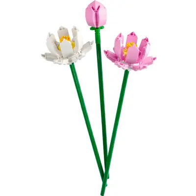 Produktbild Lotusblumen